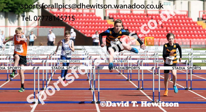 Under-13 boys 75 metres hurdles at the North Eastern Championships, Gateshead International Stadium.  Photos: David T. Hewitson/Sports for All Pics